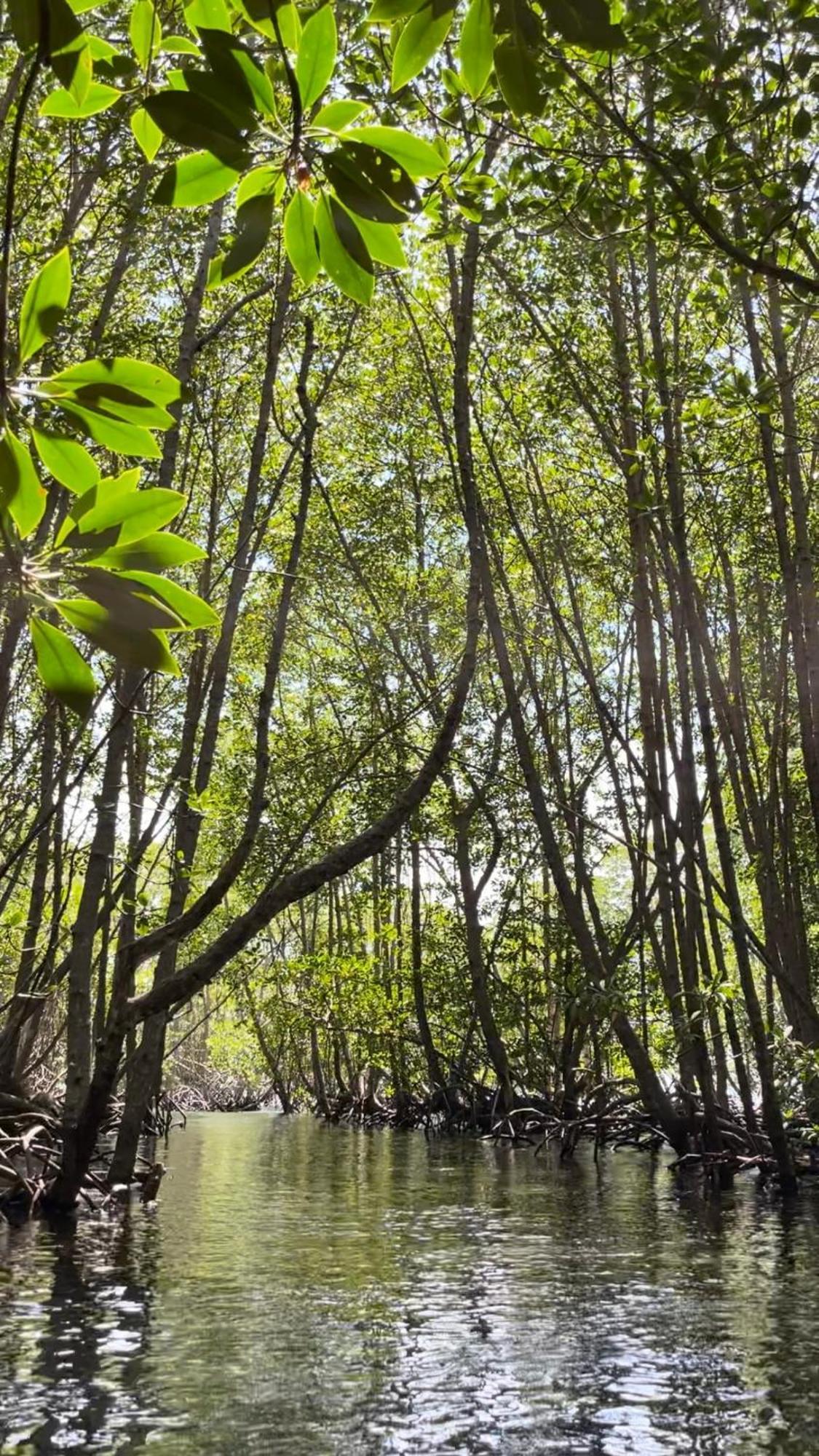 Mangrove Beach Hut Lembongan Eksteriør bilde